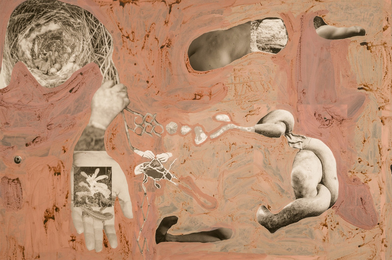 圖十二、《地勢 (關(guān)于時間，關(guān)于身體)》 (細(xì)節(jié)圖)，O?zlem Alt?n，2019