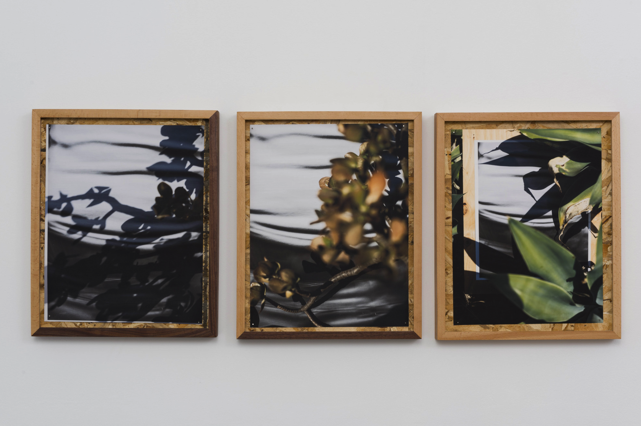 圖四、從左至右《庫卡蒙格牧場 34.1064° N, 117.5931° W. 》2018《回聲公園 34.0782° N, 118.2606° W.》 2018《康普頓 33.8958° N, 118.2201° W. 2018》David Alekhuogie